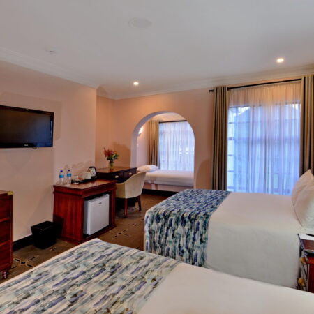 Room 29 Twin (4)
