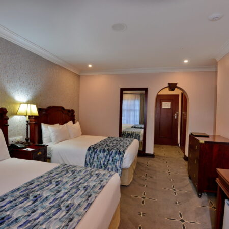 Room 29 Twin (5)