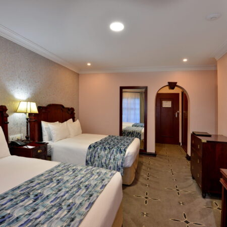 Room 29 Twin (6)