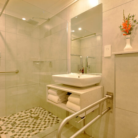 Room Paraplegic (2)
